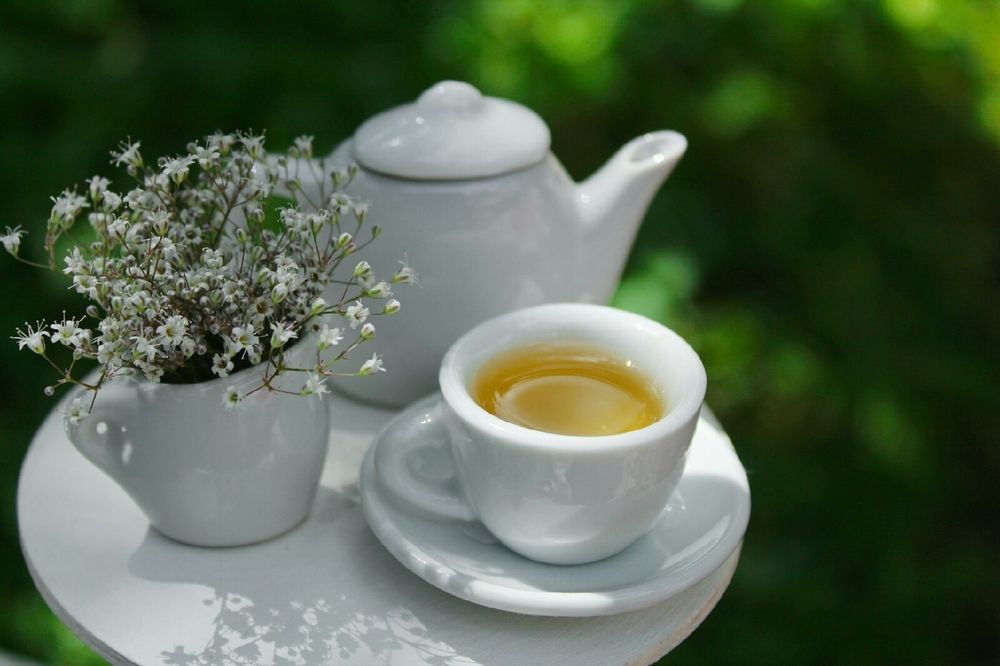 Photograph by Анна Зайченко