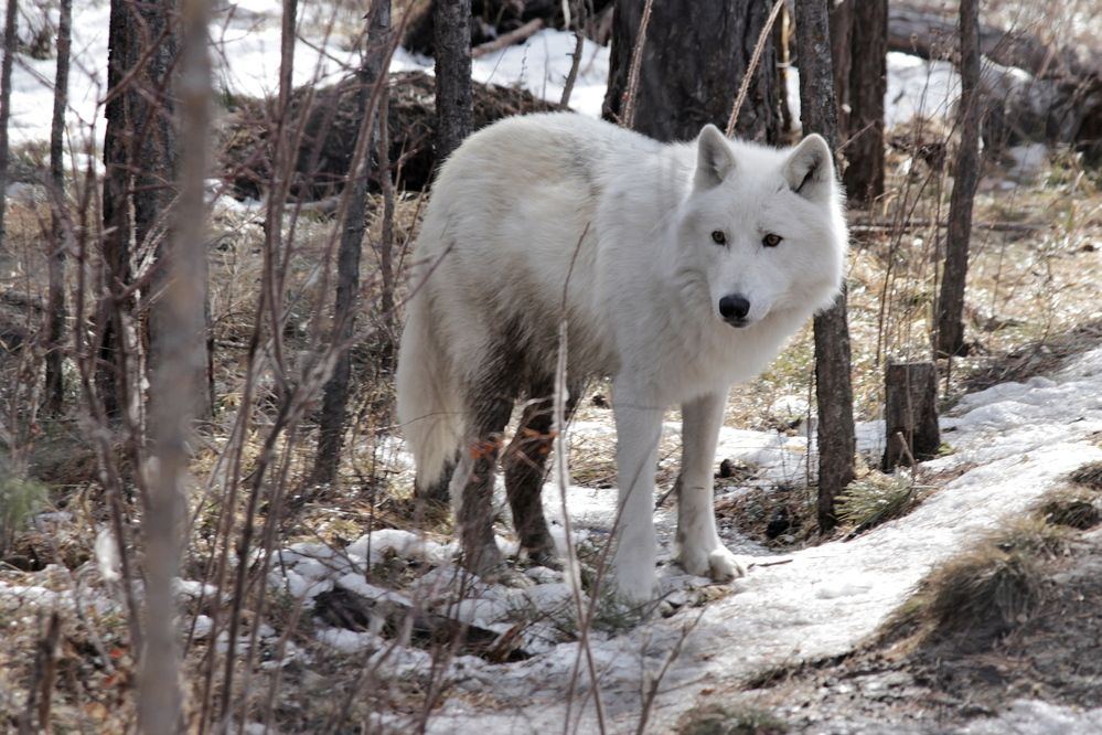 Photograph by Александр Велигура