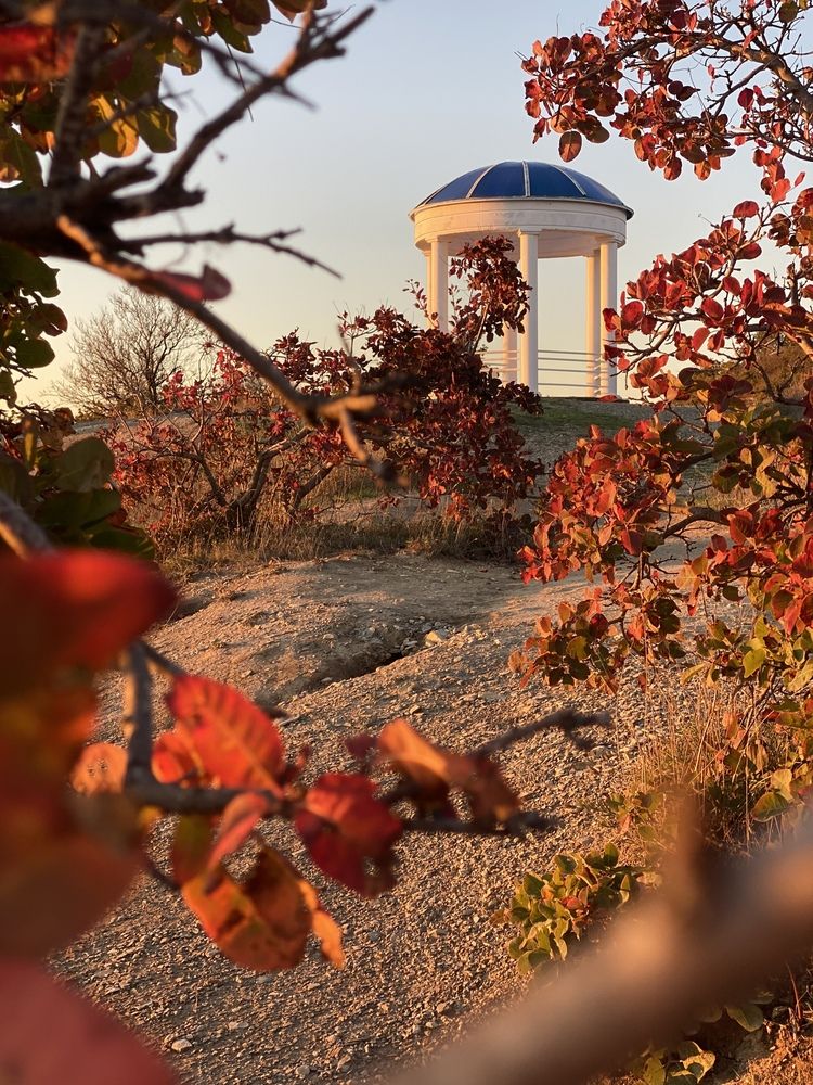 Фотография автора Екатерина Круглик