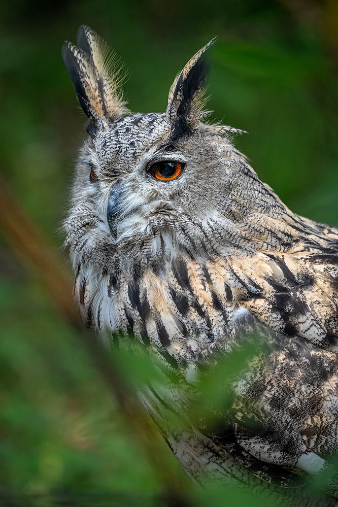 Photograph by Vladimir Ostapenko