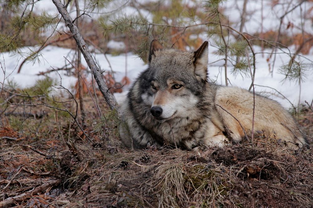 Photograph by Александр Велигура