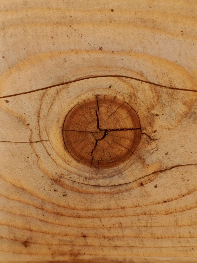 Деревянный глаз.