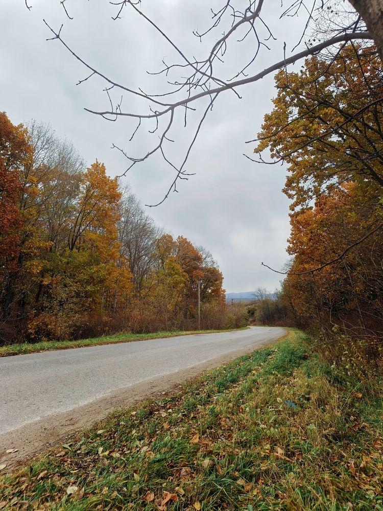 Осенний серый день.