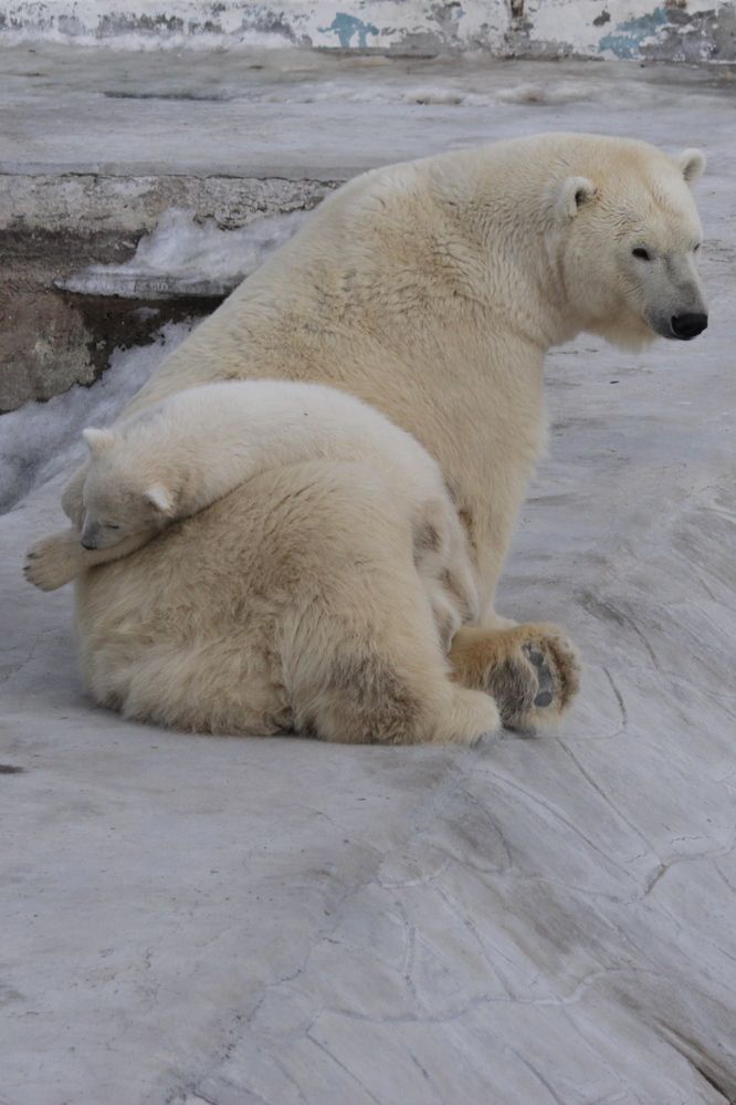 Photograph by Александр Велигура