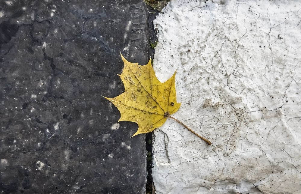 Photograph by  Валерий