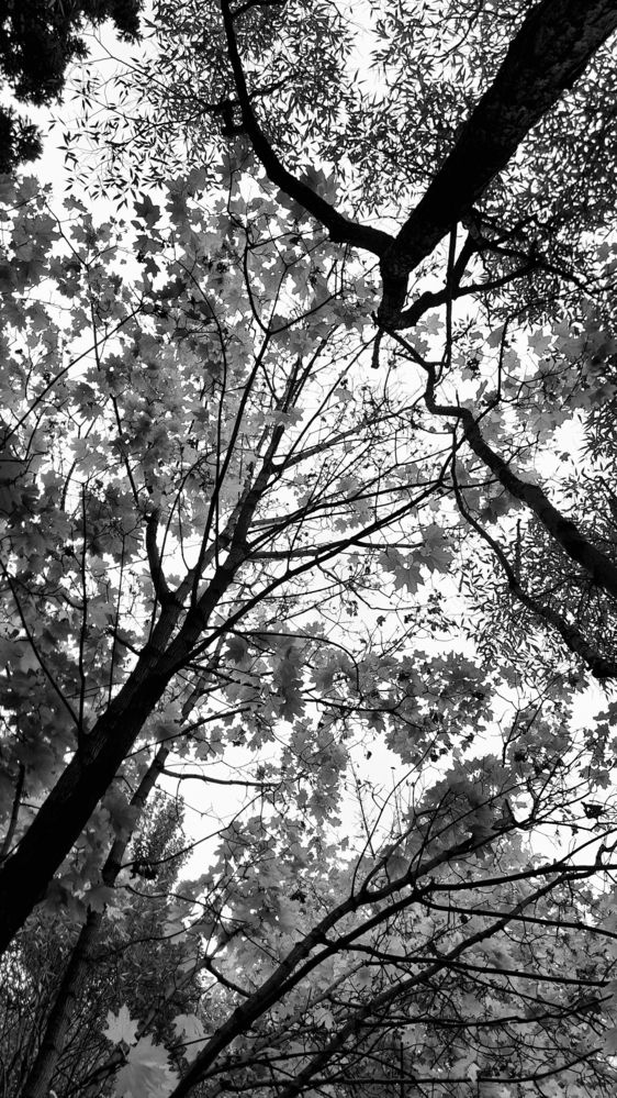 Photograph by Dmitry Grunin