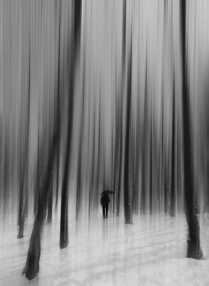 Photograph by Tina hemmati