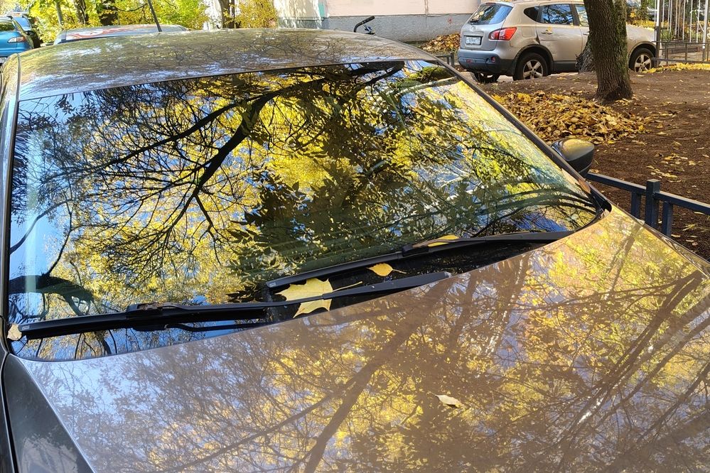 Photograph by Семкин Алексей