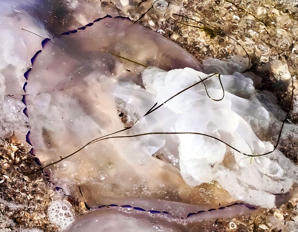 Photograph by Надежда