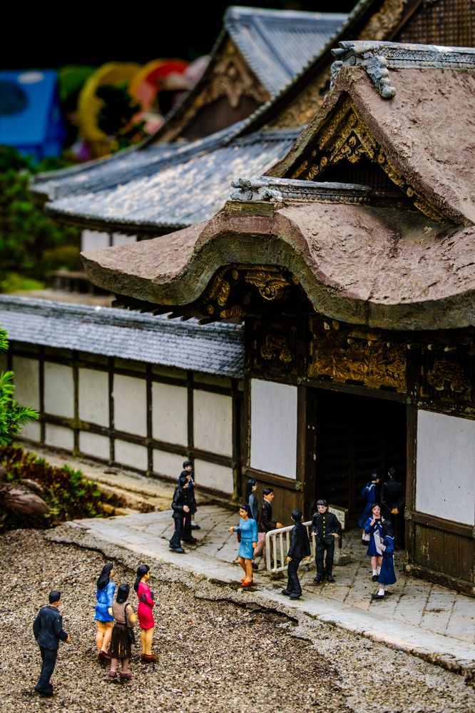 Фотография автора Uesan Aliace