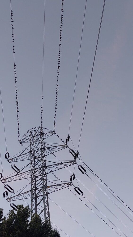 Photograph by Svitlana Usatenko