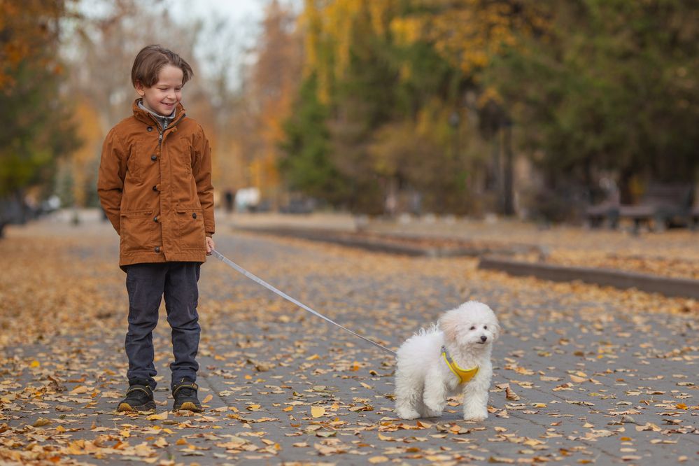 Photograph by Ольга Хмелевская