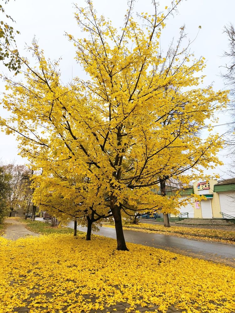 Photograph by Александр Житник