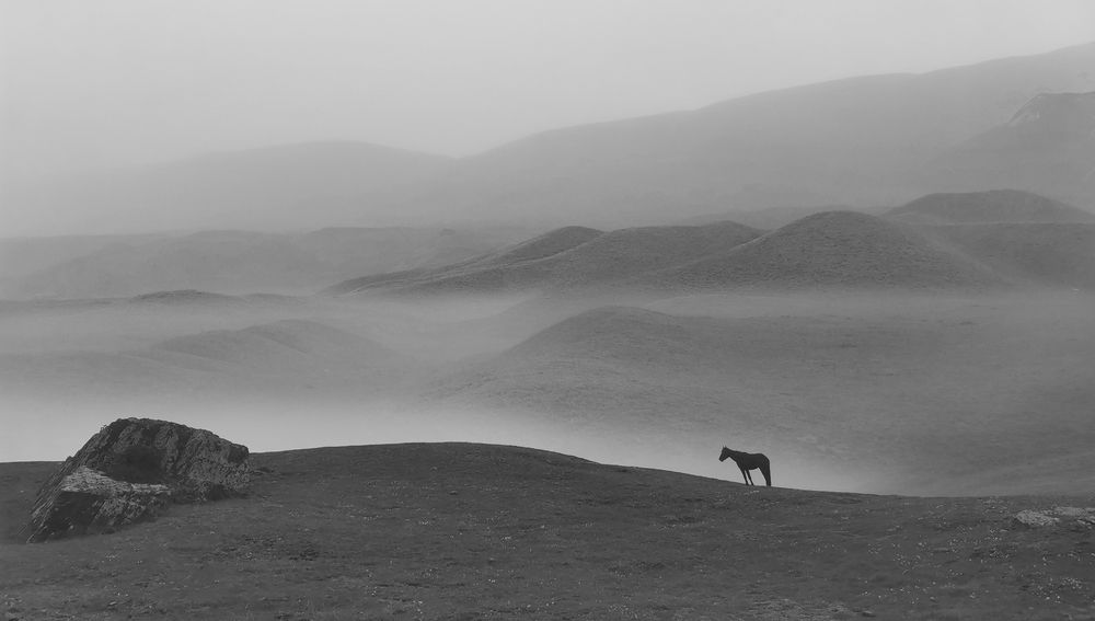 Фотография автора Шипунова Ирина