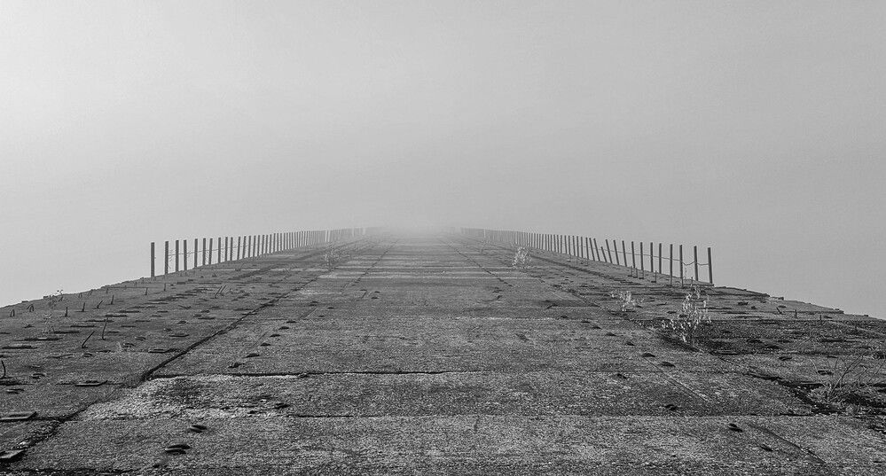 Photograph by Никита Караваев