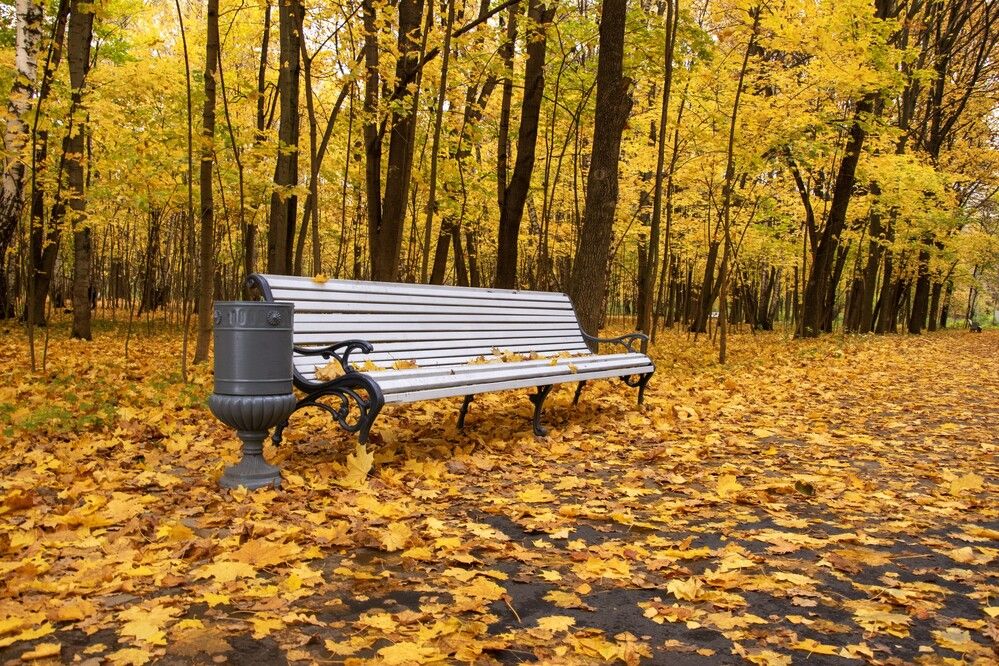 Photograph by Александр П