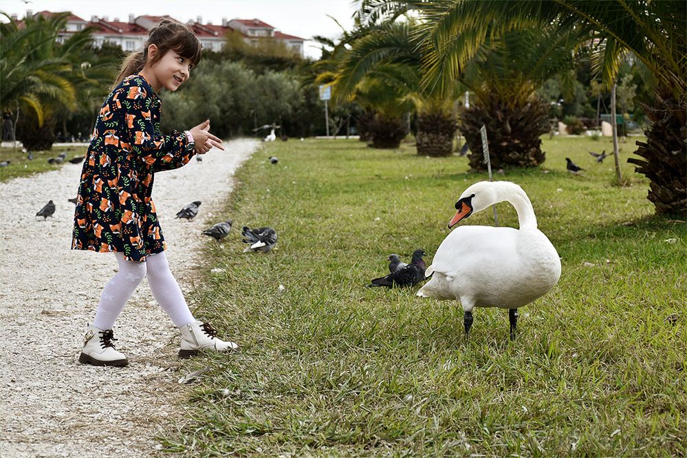 Photograph by Виктория Ткачева
