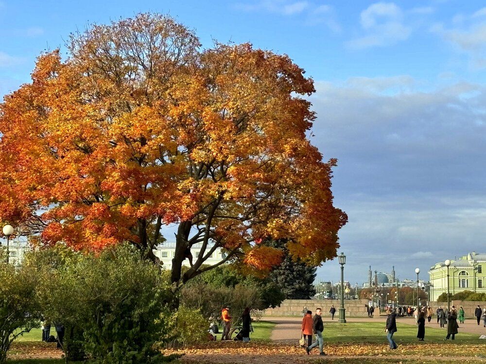 Photograph by Татьяна Смирнова