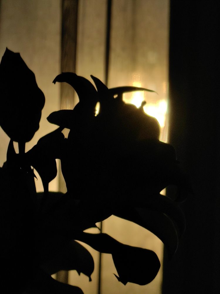 Photograph by Veranika Siratsinina