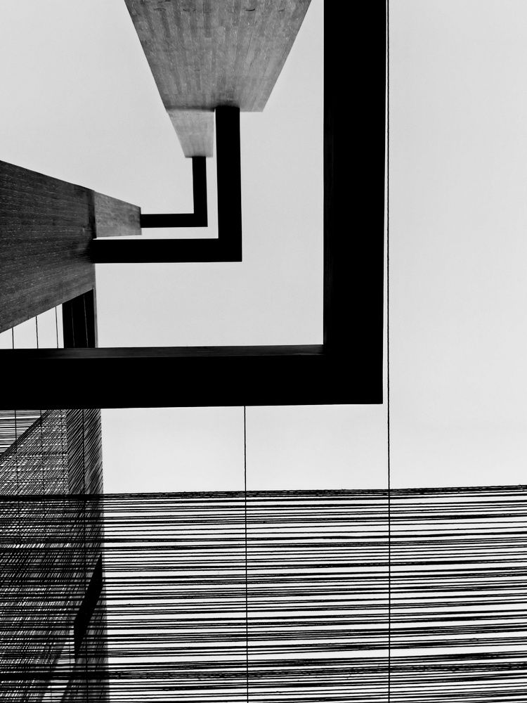 Фотография автора robot