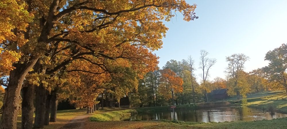 Золотая осень