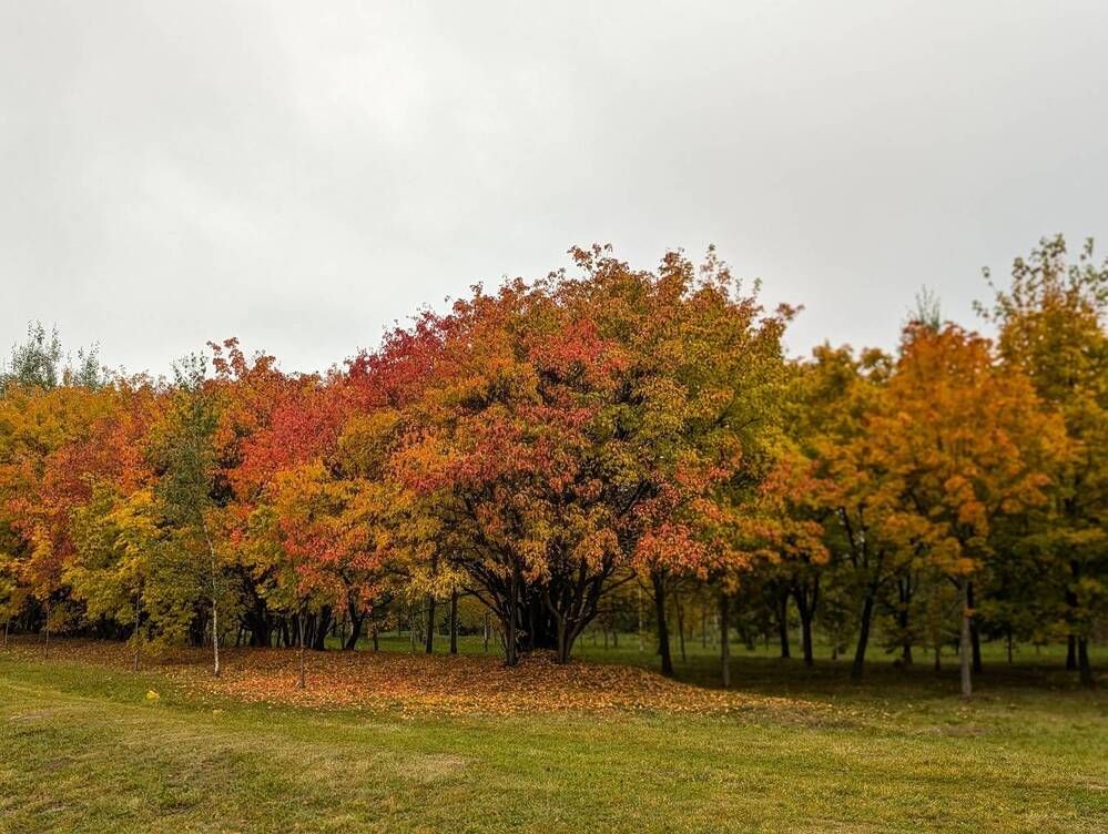 Фотография автора Рузинова Елена