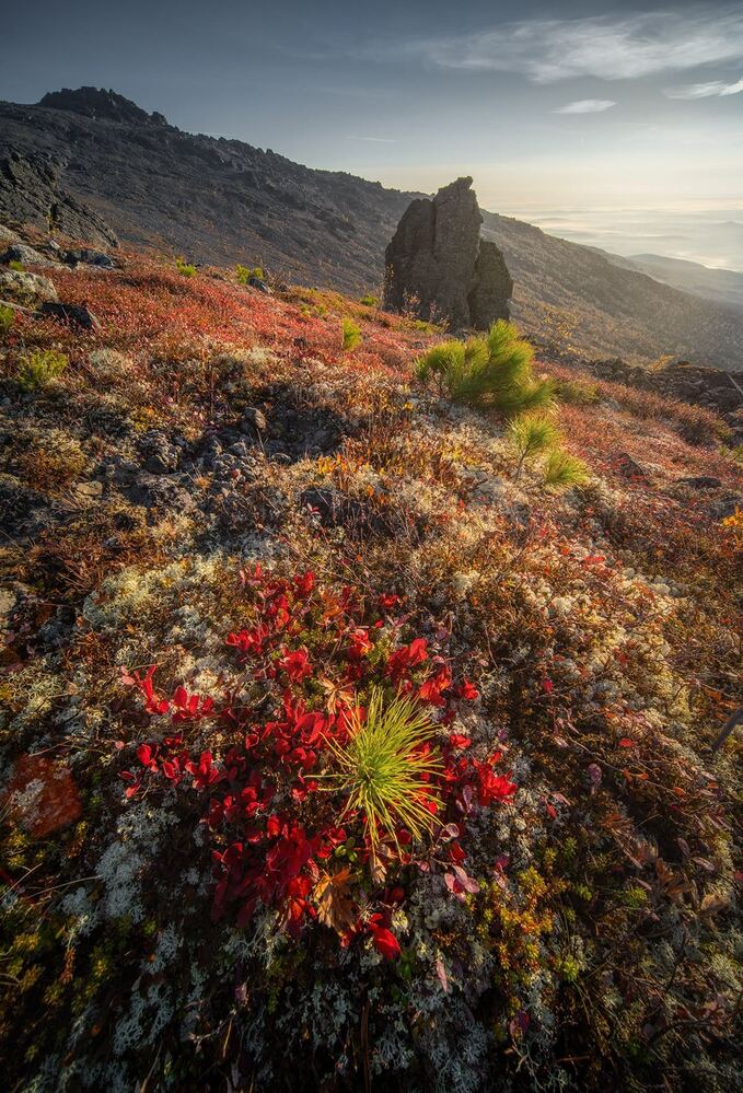 Photograph by Василий Яковлев