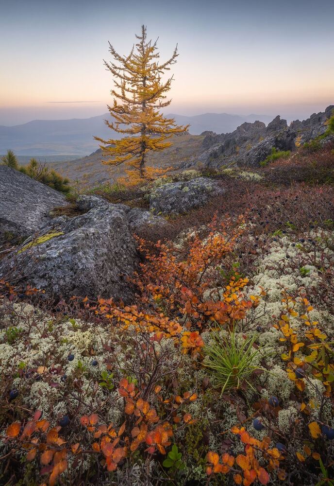 Photograph by Василий Яковлев