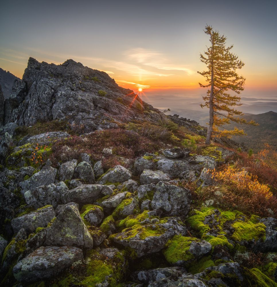 Photograph by Василий Яковлев