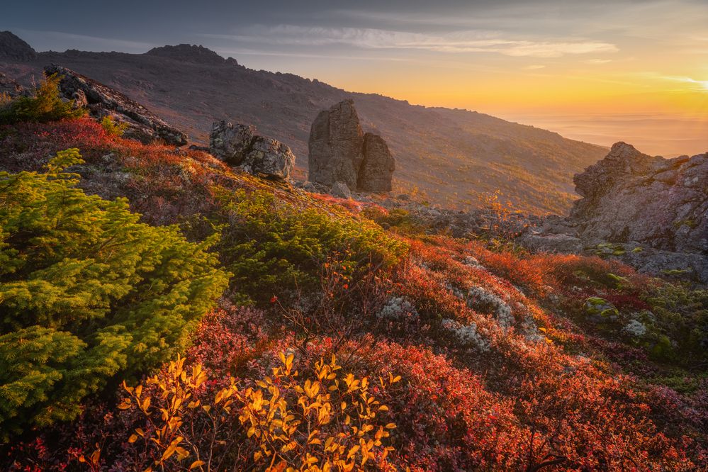 Photograph by Василий Яковлев