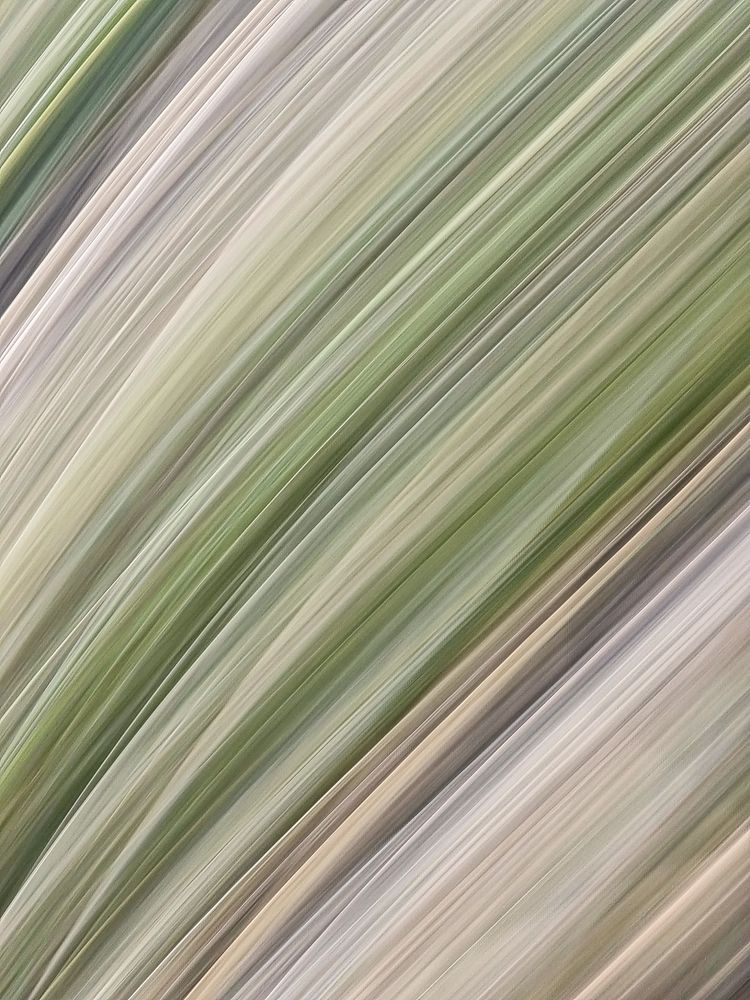 Photograph by Василий Яковлев