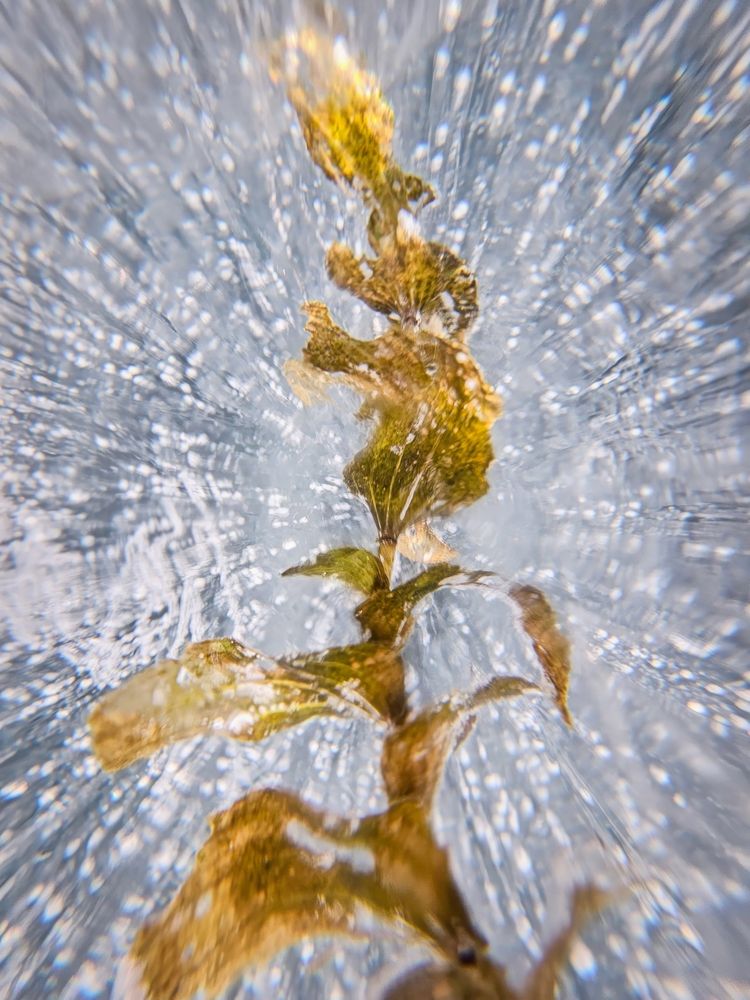 Photograph by Василий Яковлев