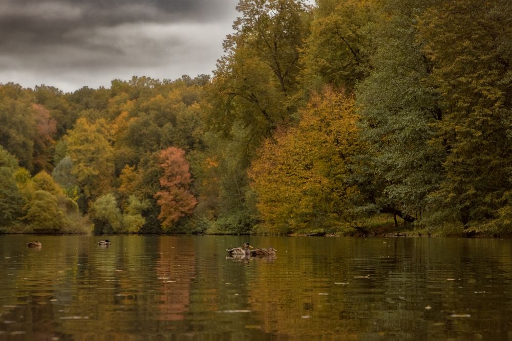 Photograph by Лариса Осьмак