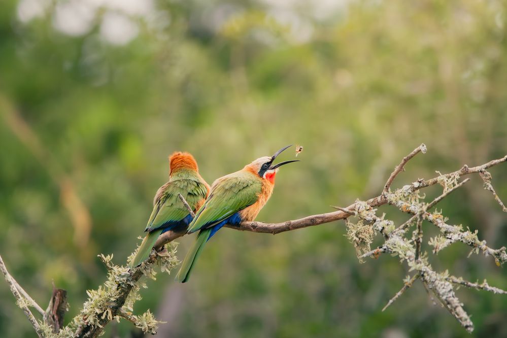 Photograph by James Frost