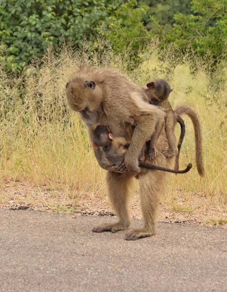 Photograph by Michelle Storm