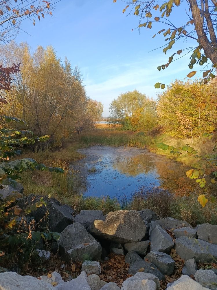 Photo #12730094