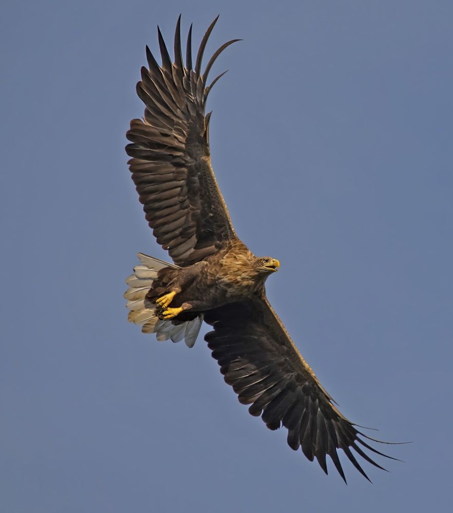 Photograph by Gurdina Lena