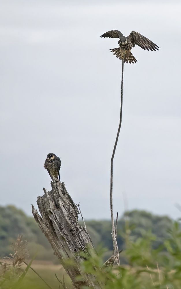 Photograph by Gurdina Lena