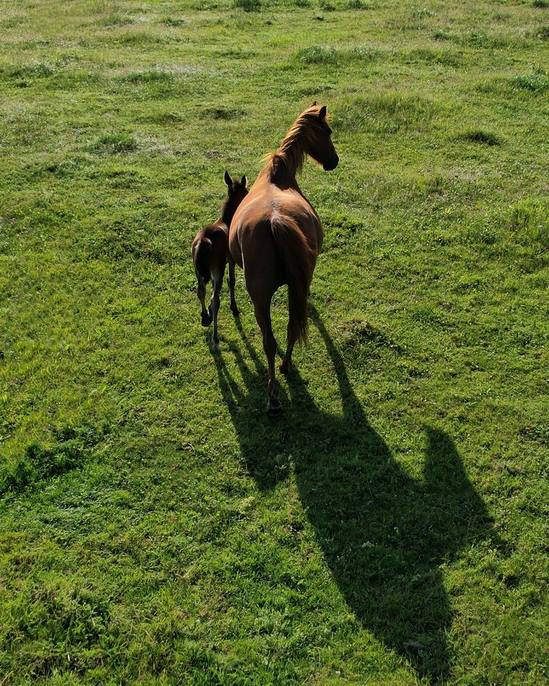 Photograph by Дмитрий Костяков