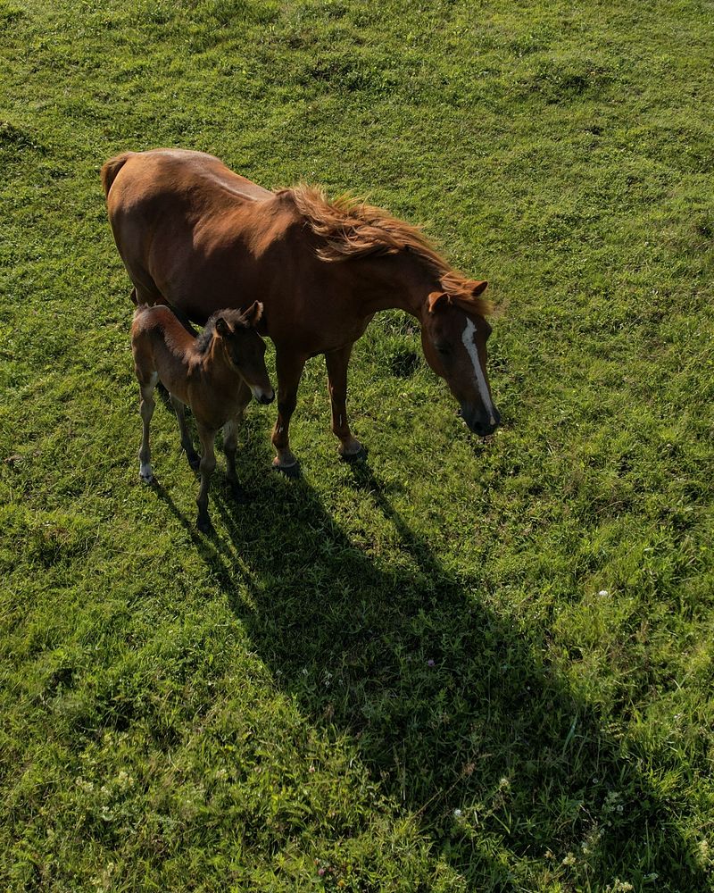 Photograph by Дмитрий Костяков