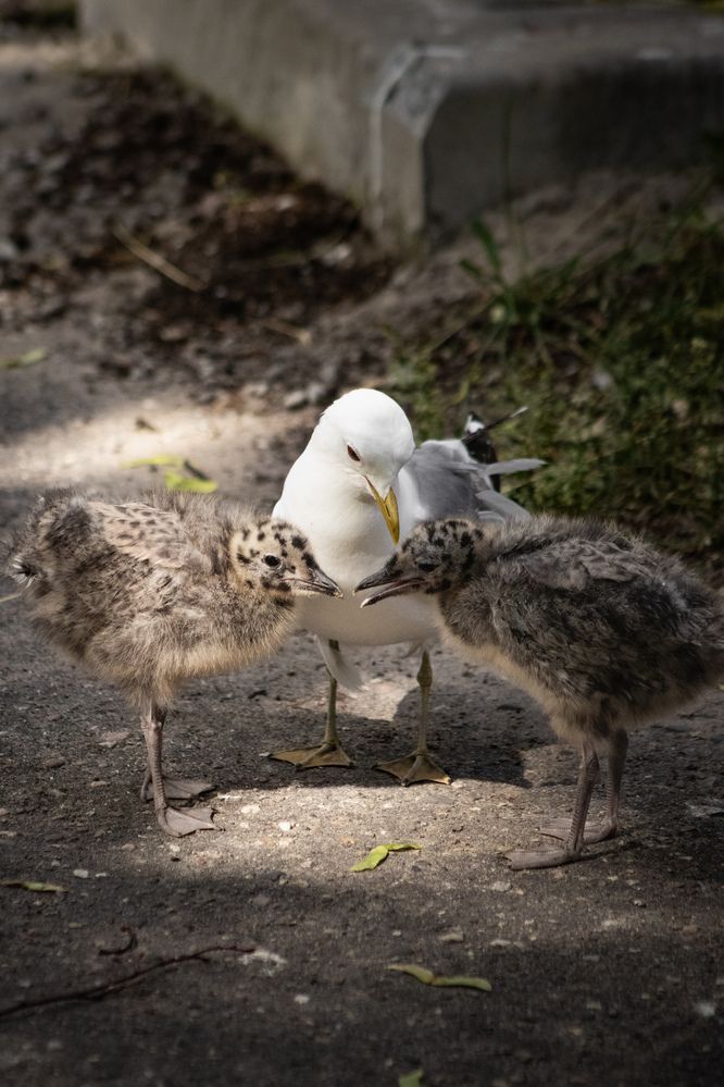 Photograph by Дмитрий Костяков