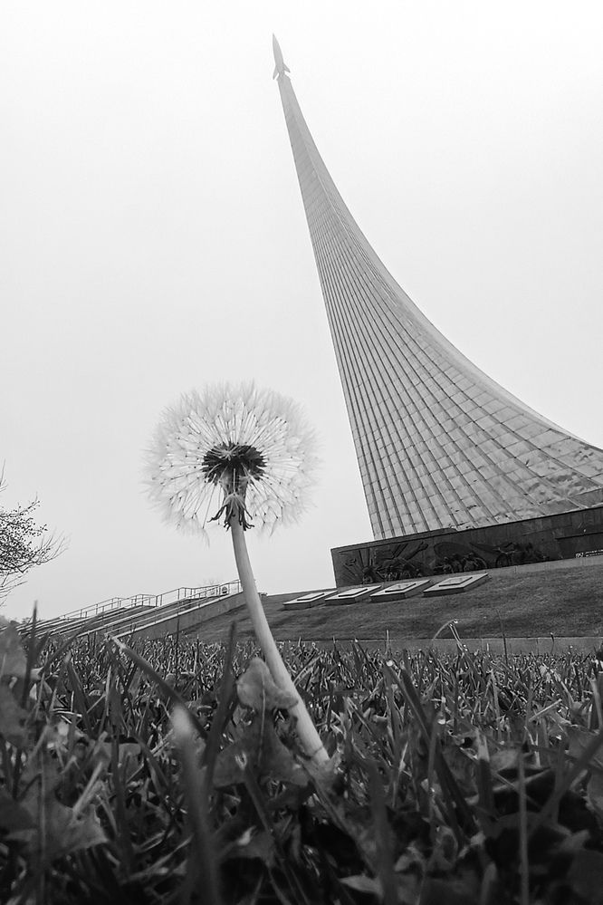 Photograph by Елена Щитова