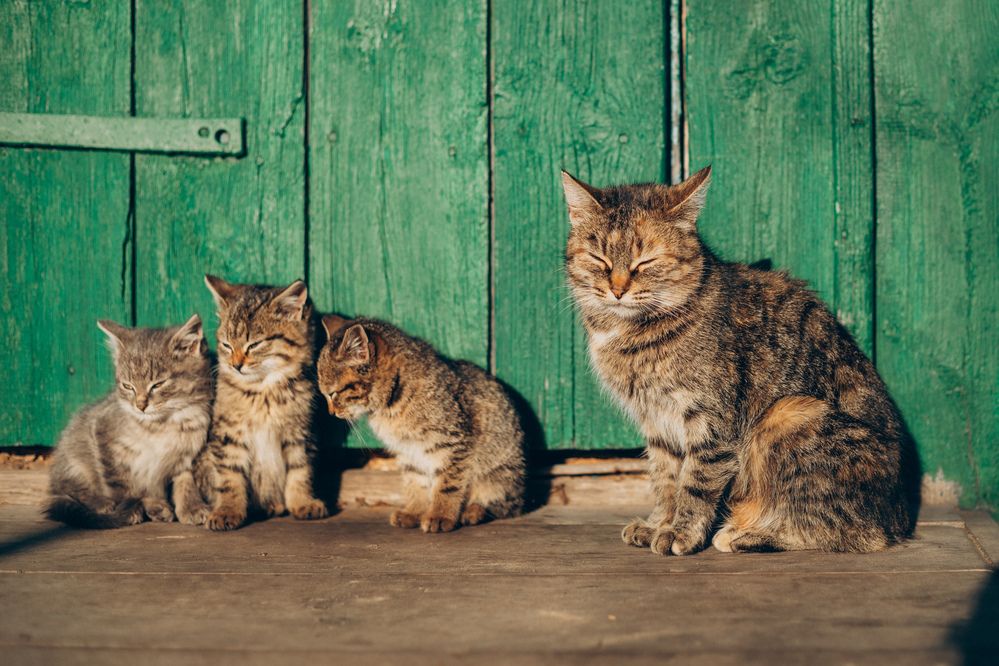 Photograph by Елена Копылова