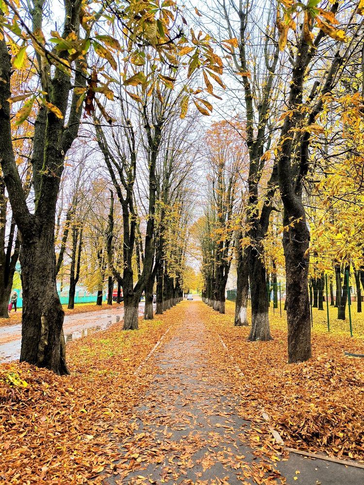 Photograph by Александр Житник