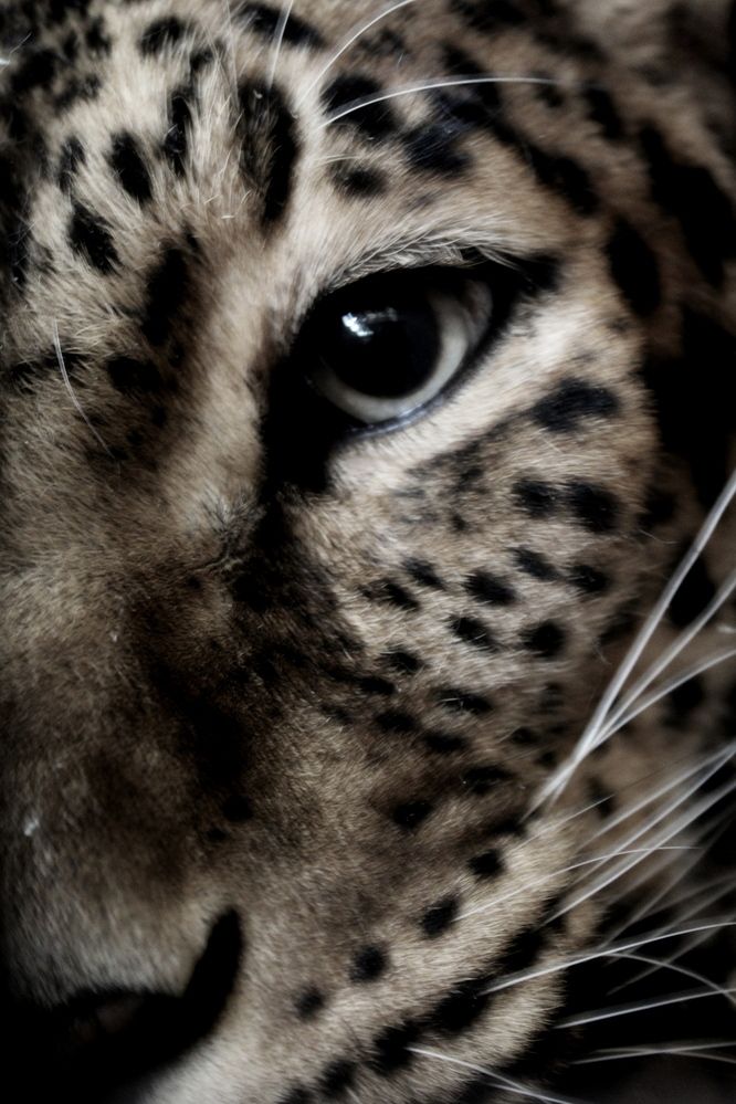 Photograph by Anna Grin