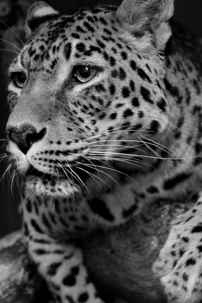 Photograph by Anna Grin