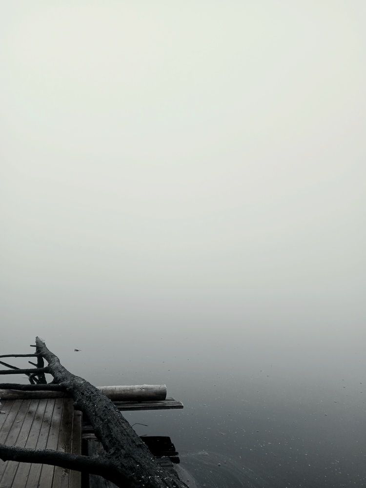 Photo #12730467