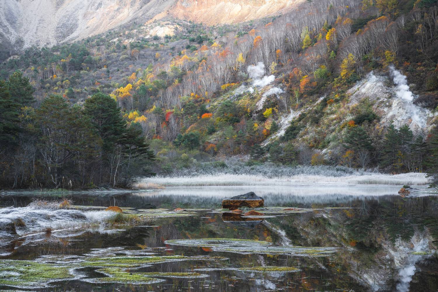 Фотография #12730484