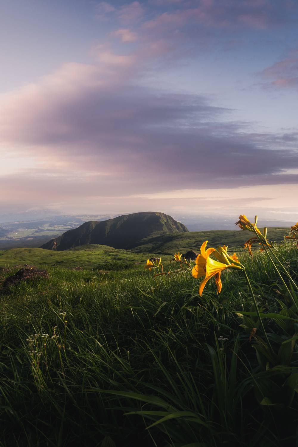 Фотография #12730501