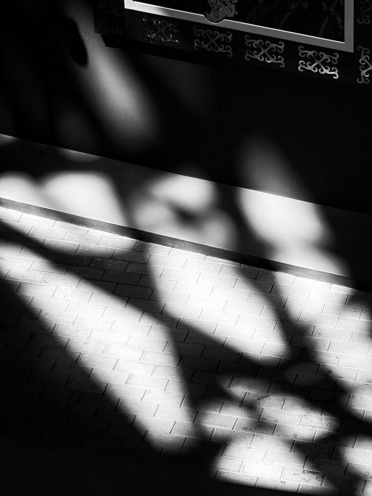 Photograph by Svetlana Porokhovnikova